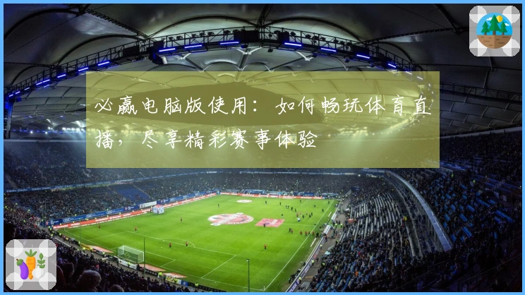 必赢电脑版使用：如何畅玩体育直播，尽享精彩赛事体验