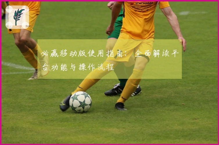 必赢移动版使用指南：全面解读平台功能与操作流程