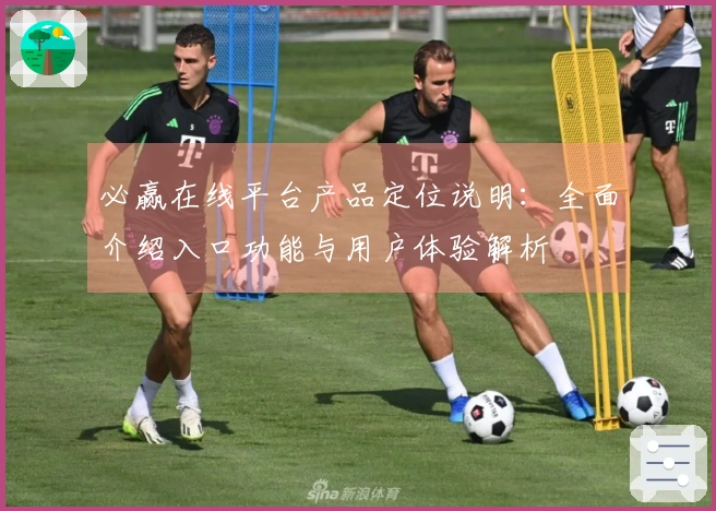 必赢在线平台产品定位说明：全面介绍入口功能与用户体验解析