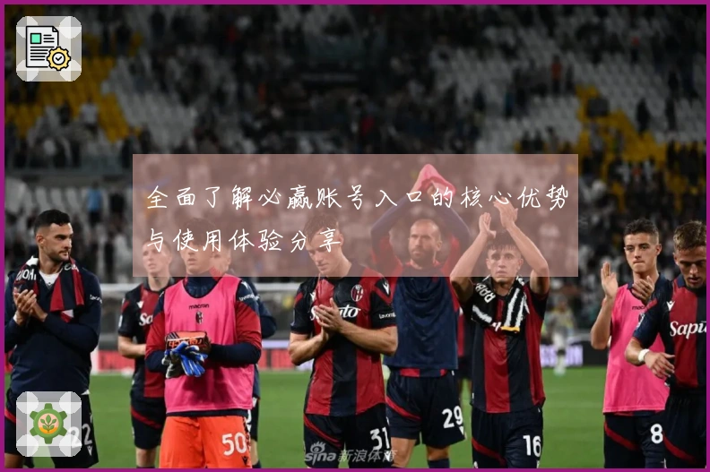 全面了解必赢账号入口的核心优势与使用体验分享